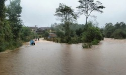 Quảng Ng&#227;i: Lũ tr&#234;n s&#244;ng Tr&#224; C&#226;u vượt b&#225;o động 3, cảnh b&#225;o ngập lụt nhiều v&#249;ng