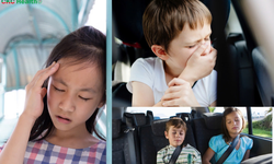 Mẹo hay chống say tàu xe để trẻ khỏe mạnh trong mọi hành trình