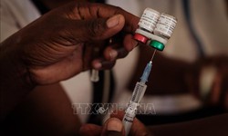 WHO k&#234;u gọi ph&#225;t triển vaccine ph&#242;ng c&#225;c căn bệnh g&#226;y tử vong tr&#234;n diện rộng