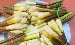 Củ niễng - m&#243;n ngon đặc sản của Nam Định khi trời sắp sang Đ&#244;ng