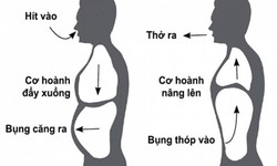 5 l&#253; do h&#237;t thở s&#226;u tốt cho sức khỏe v&#224; c&#225;ch thực h&#224;nh đ&#250;ng