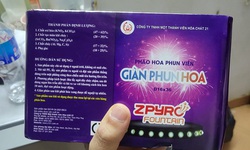 Mua ph&#225;o hoa chơi Tết 2025 cần lưu &#253; g&#236;?