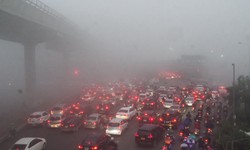 Chuy&#234;n gia chỉ c&#225;ch ứng ph&#243; với sương m&#249;, nồm ẩm