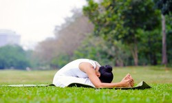 C&#225;ch tập dưỡng sinh m&#249;a Xu&#226;n tăng cường sức khỏe