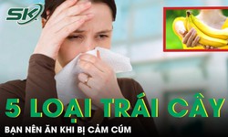 5 loại tr&#225;i c&#226;y bạn n&#234;n ăn khi bị cảm c&#250;m