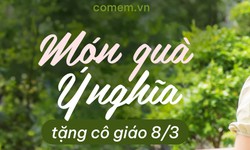 Những lưu &#253; khi lựa chọn qu&#224; tặng 8/3 cho c&#244; gi&#225;o