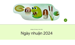 Google Doodle kỷ niệm ng&#224;y nhuận năm 2024 với ch&#250; ếch dễ thương