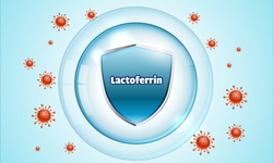 Lactoferrin - Protein kháng khuẩn tự nhiên từ sữa non hỗ trợ trẻ vượt bệnh vặt