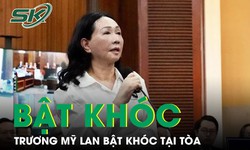 Trương Mỹ Lan bật kh&#243;c tại t&#242;a, khai chỉ nắm giữ khoảng 5% của SCB