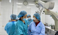 Tuần lễ Gl&#244;c&#244;m thế giới năm 2024 tại Hitec