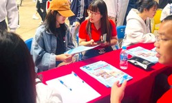 Nếu chọn sai ng&#224;nh học th&#236; phải l&#224;m sao?
