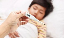 Đi du lịch m&#249;a nắng n&#243;ng cần l&#224;m g&#236; để bảo vệ sức khỏe?