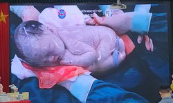 Tư vấn mang thai an to&#224;n, chăm con khỏe mạnh cho c&#225;c b&#224; bầu