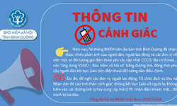 Cảnh b&#225;o: Mất gần 100 triệu do bị lừa cập nhật lại th&#244;ng tin ứng dụng VssID - BHXH số

