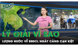 V&#236; sao lượng nước về ĐBSCL ng&#224;y c&#224;ng giảm, x&#226;m nhập mặn ng&#224;y c&#224;ng tăng?