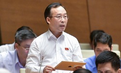 Đề xuất bỏ quy định cha, mẹ, vợ, chồng, anh chị em ruột không được tham gia đấu giá cùng một tài sản