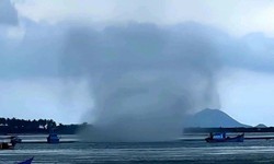C&#225;ch để an to&#224;n khi gặp v&#242;i rồng