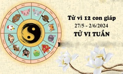 Tử vi tuần mới 12 con gi&#225;p từ 27/5 - 2/6/2024: Ngọ may mắn thuận lợi, Tị l&#234;n xuống thất thường