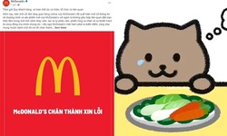 McDonald’s Việt Nam xin lỗi v&#236; lấy c&#226;u chuyện của M&#232;o B&#233;o PR sản phẩm