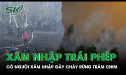 Ph&#225;t hiện c&#243; người x&#226;m nhập tr&#225;i ph&#233;p g&#226;y ra vụ ch&#225;y lớn ở Vườn quốc gia Tr&#224;m Chim