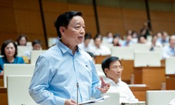 Ph&#243; Thủ tướng khẳng định biến r&#225;c th&#224;nh năng lượng l&#224; giải ph&#225;p hữu hiệu