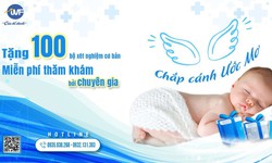 IVF Việt - Bỉ: Nơi chắp c&#225;nh hy vọng cho c&#225;c cặp vợ chồng hiếm muộn