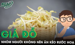 Gi&#225; đỗ bổ dưỡng nhưng nh&#243;m người sau đ&#226;y kh&#244;ng n&#234;n ăn kẻo rước hoạ