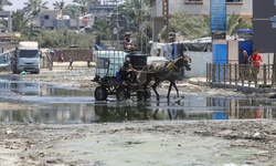 Ph&#225;t hiện virus bại liệt trong nước thải ở Gaza