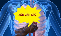 6 triệu chứng tăng men gan thường gặp