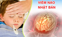 Đắk Lắk ghi nhận 3 trường hợp mắc Vi&#234;m n&#227;o Nhật Bản