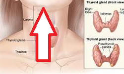 B&#224;i tập phục hồi chức năng cơ quan tổn thương do bệnh bạch hầu thanh quản