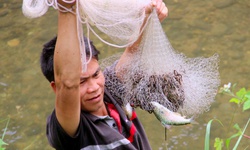 D&#226;n bản chung tay bảo tồn c&#225; hiếm giữa đại ng&#224;n P&#249; Huống