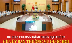 Phi&#234;n họp thứ 37 của UBTVQH sẽ cho &#253; kiến về dự &#225;n Luật sửa đổi, bổ sung một số điều của Luật BHYT