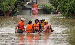 T&#236;nh người trong gi&#244;ng b&#227;o