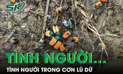 PODCAST: T&#236;nh người tỏa s&#225;ng trong cơn hoạn nạn