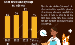 Ng&#224;y Thế giới ph&#242;ng chống bệnh dại: C&#249;ng chung tay ph&#225; vỡ r&#224;o cản