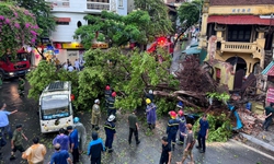 T&#226;m b&#227;o chuẩn bị di chuyển v&#224;o H&#224; Nội, mưa rất lớn, gi&#243; r&#237;t từng cơn