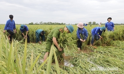 C&#244;ng an, d&#226;n qu&#226;n lội ruộng &#39;cứu l&#250;a&#39; gi&#250;p d&#226;n