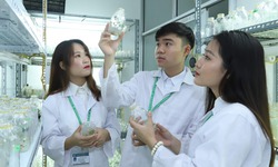 Loạt ch&#237;nh s&#225;ch mới nhất về thu h&#250;t, trọng dụng người t&#224;i l&#224;m việc trong cơ quan nh&#224; nước
