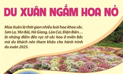 Du xuân ngắm hoa nở