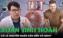 Xoắn tinh ho&#224;n c&#243; l&#224; nguy&#234;n nh&#226;n dẫn đến v&#244; sinh?