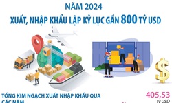 Tổng kim ngạch xuất, nhập khẩu năm 2024 đạt gần 800 tỷ USD