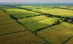 Đất dính quy hoạch có được tách thửa hay không?