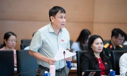 ĐBQH đề xuất cần có chính sách hỗ trợ nhóm hiếm muộn góp phần duy trì mức sinh thay thế