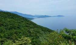 Huế lập khu bảo vệ cảnh quan bảo tồn động vật qu&#253; hiếm, đặc hữu