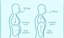 5 b&#224;i tập dưỡng sinh tốt cho phổi