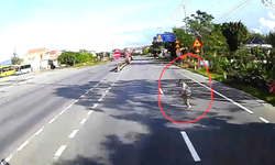 Video: Người đàn ông tử vong dưới bánh xe tải khi qua đường