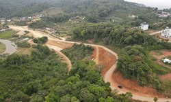 Quảng Ng&#227;i hứng gần 100 trận đ&#244;ng đất từ đầu th&#225;ng 10