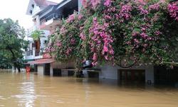 Lào Cai: Ngừng các tour du lịch đến Sa Pa, Y Tý và vùng nguy cơ lũ quét