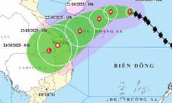 Thủ tướng y&#234;u cầu triển khai ngay c&#225;c biện ph&#225;p ứng ph&#243; với b&#227;o số 12